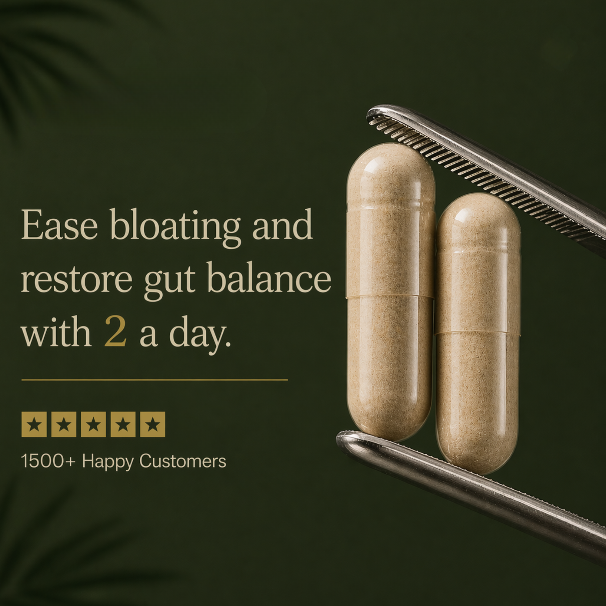 Fix Bloating & Gut Issues in Days — Without Harsh Chemicals