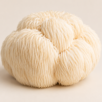 Lion's Mane